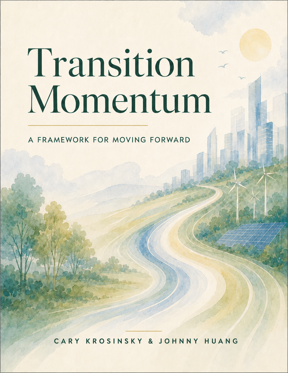 Transition Momentum book cover